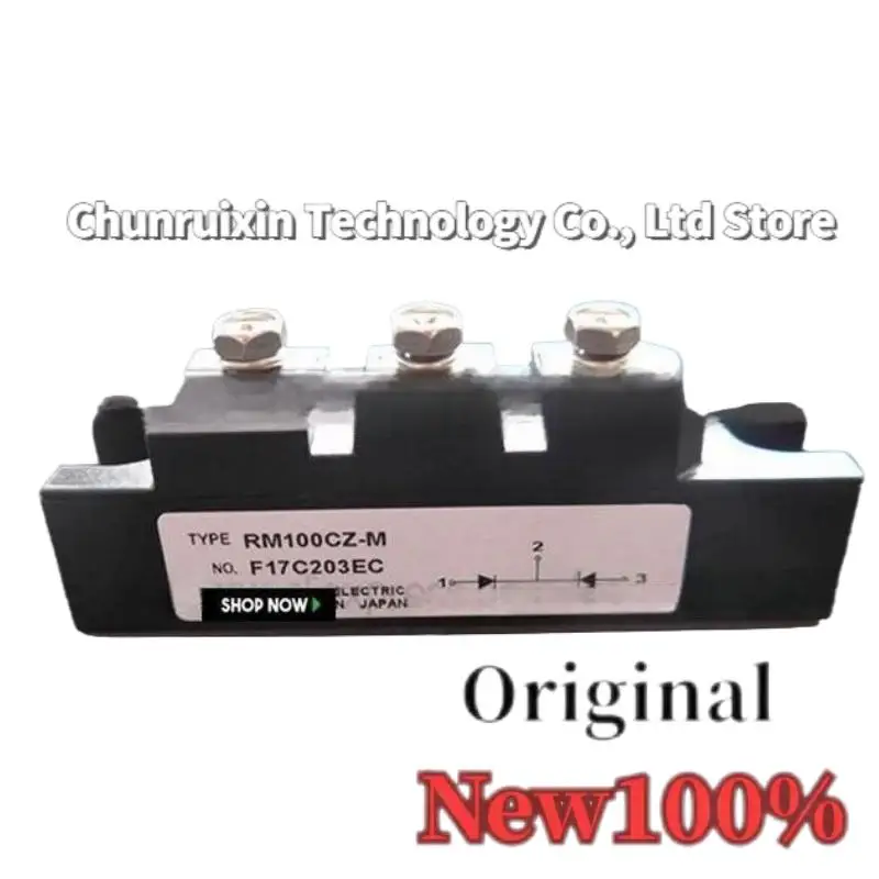 RM100DZ-H RM100DZ-2… - image