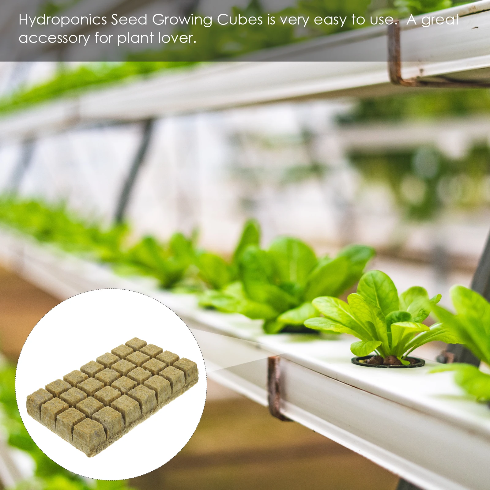 

Plug Growing Plants Hydroponic Kit Soilless Cultivation Blocks Mini Lover Vegetable Propagation Cubes Culture