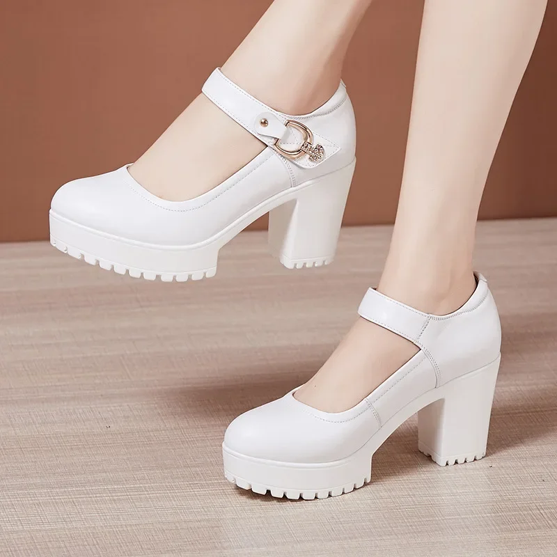 

6 8 10cm Small Big Size 32-43 Shallow Thick Bottom Mary Janes Platform Pumps 2025 Block High Heels Shoes Women Office Work Mom