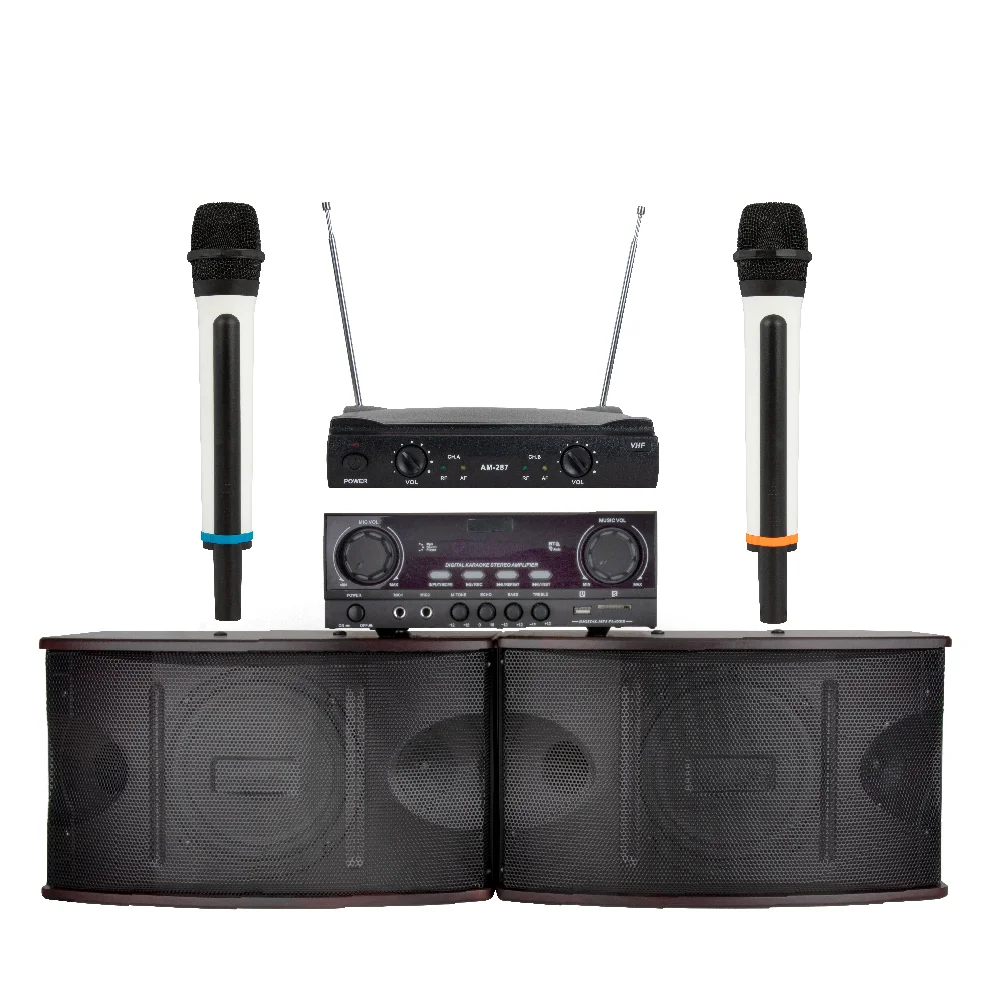 Professional Stage Family Karaoke Sound Equipment Set, Wireless Microphone System + 6.5 Inch Speaker Box + Power Amplifier