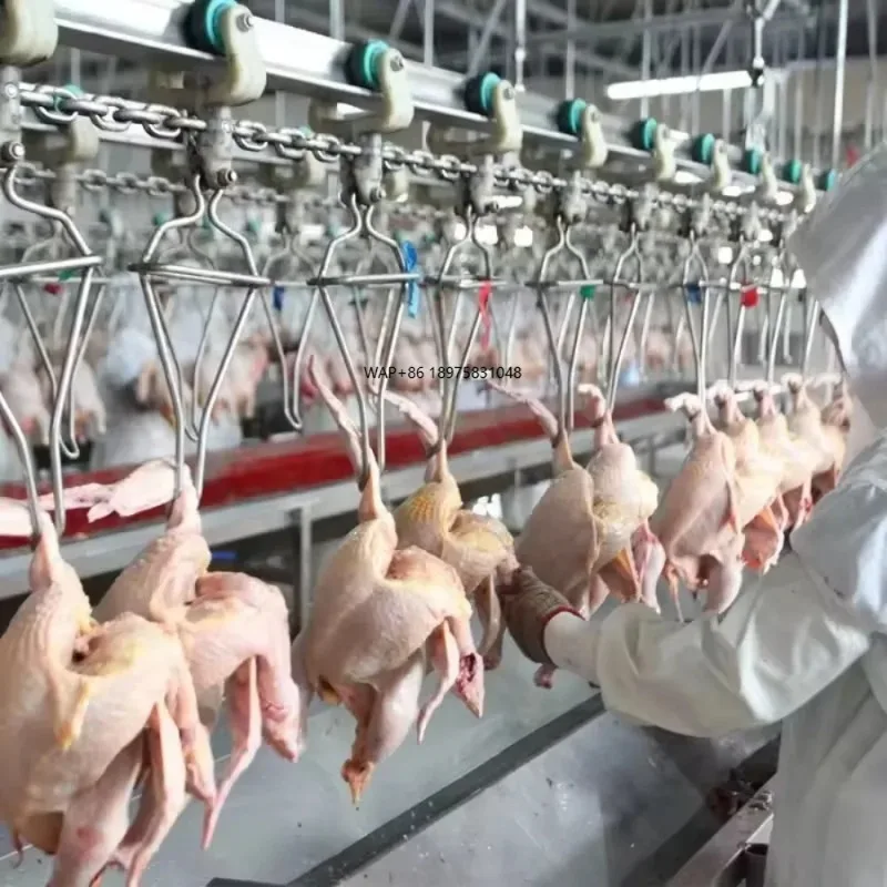 

Automatic Poultry Slaughtering Equipment for Chicken Turkey Duck & Goose for Small & Large Production for Poultry Processing