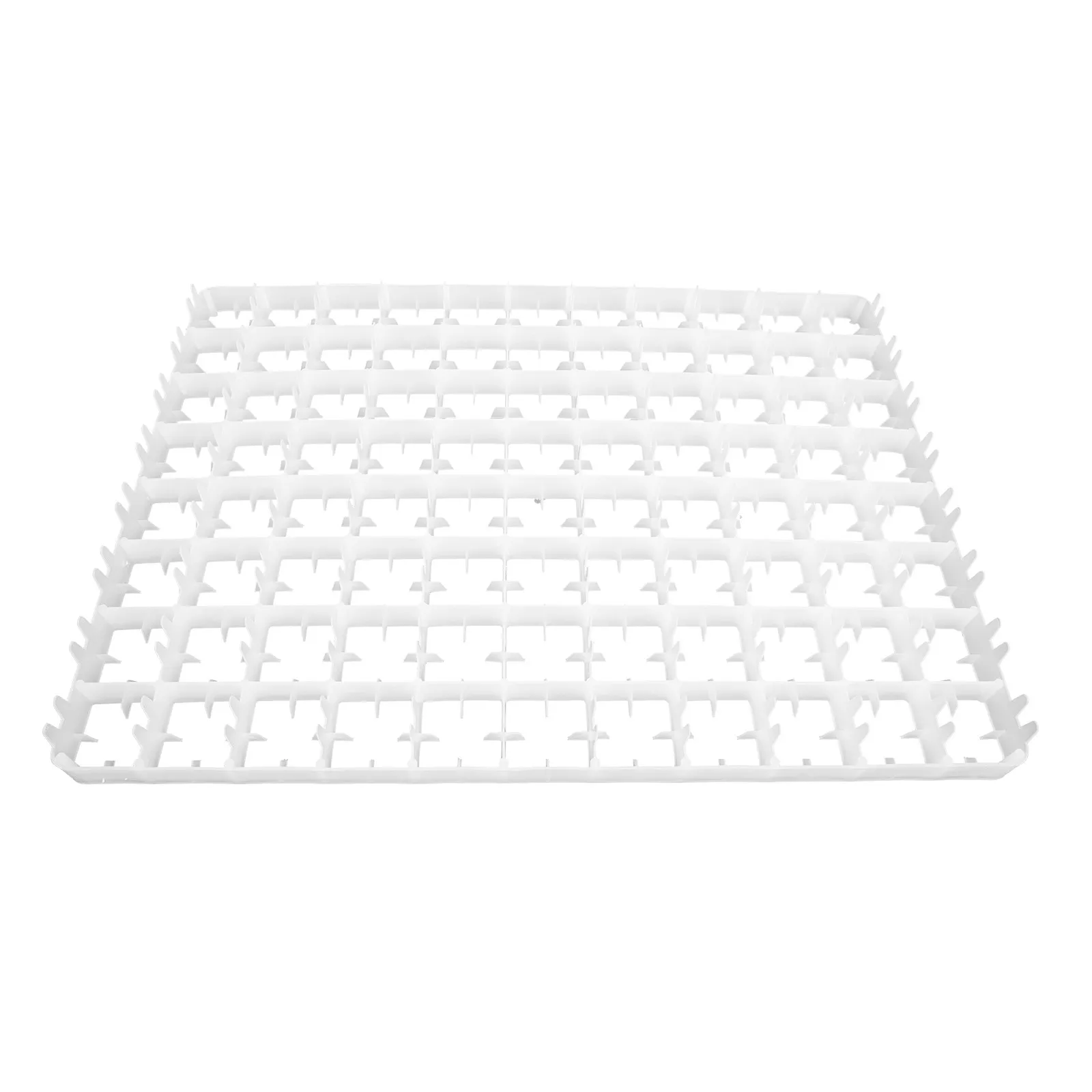 

88 Compartments Eggs Incubation Durable Plastic Container Lightweight Hatch Holder Household Egg Tray Storing Effectively