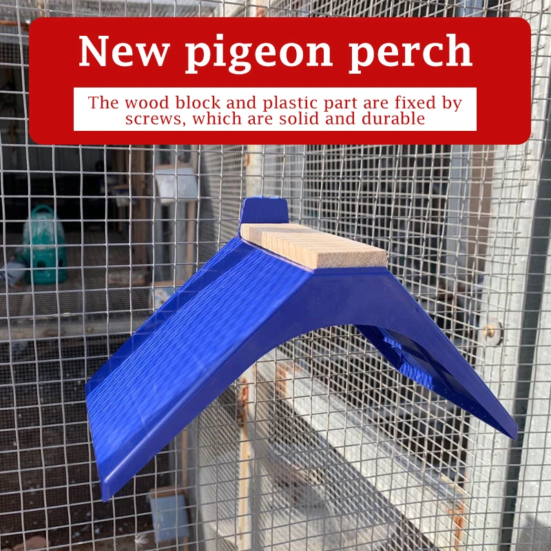 Imagem -05 - Stand Blue Pigeon Poleiros para Aves Dove Rest Bird Supplies Poleiro Poleiro 20 Pcs