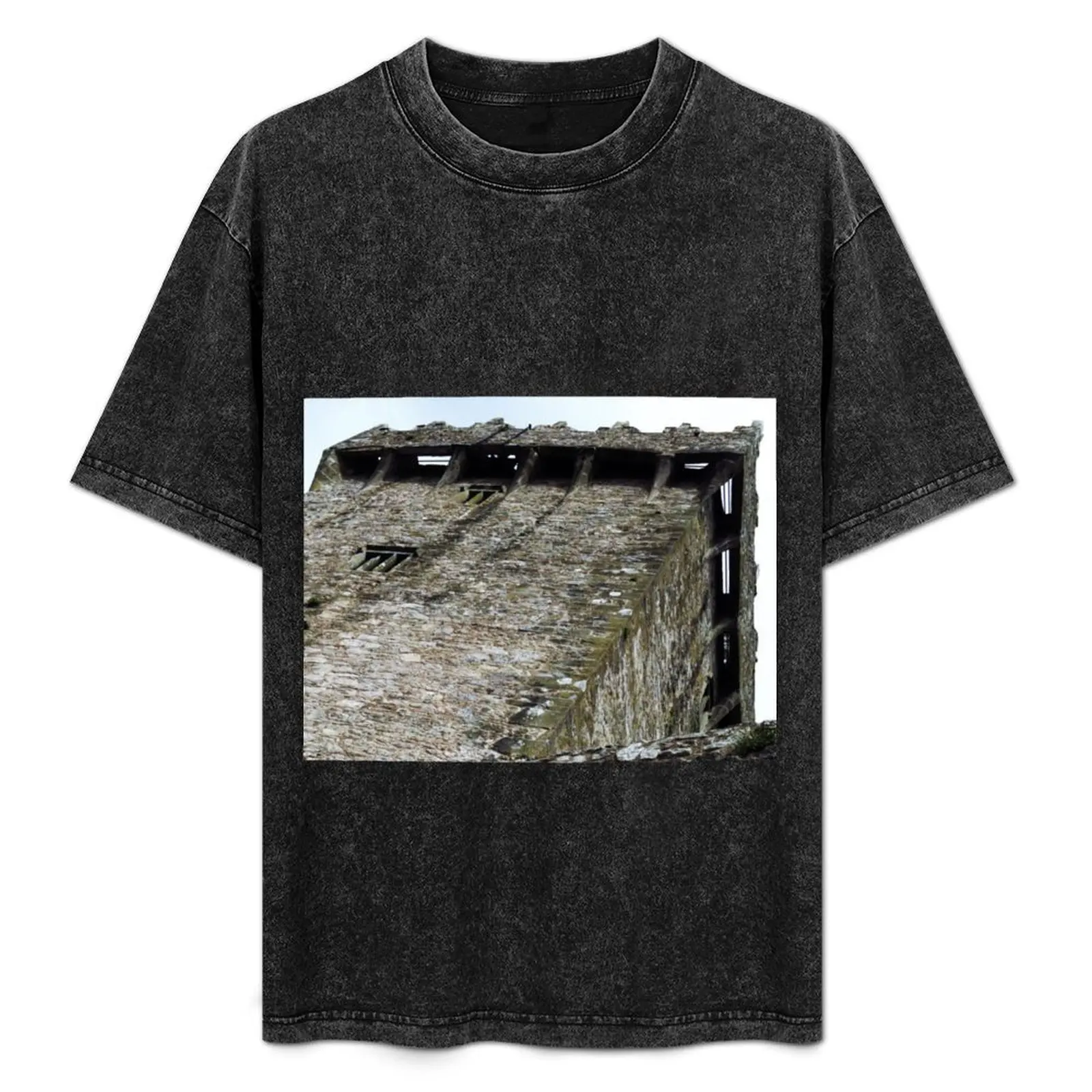 

Under The Blarney Stone, Blarney Castle T-Shirt Basic Short Sleeve T-Shirt for Men