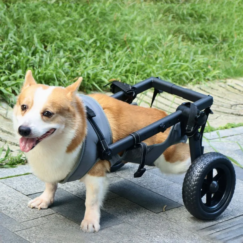 Professional Mobility Aid For Large Pet Breeds, Rehabilitation Cart With Walking Support | Enables Exercise & Daily Assnce