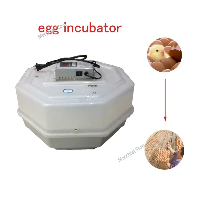 60 Eggs Automatic  Incubator  Cracking Constant Temperature  Digital  Controller