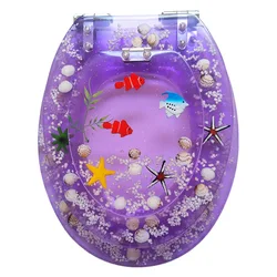 Toilet Lid Household Universal Thickened Double Layer Toilet Seat Cover Resin Buffered Slow Close Silent Toilet Cover