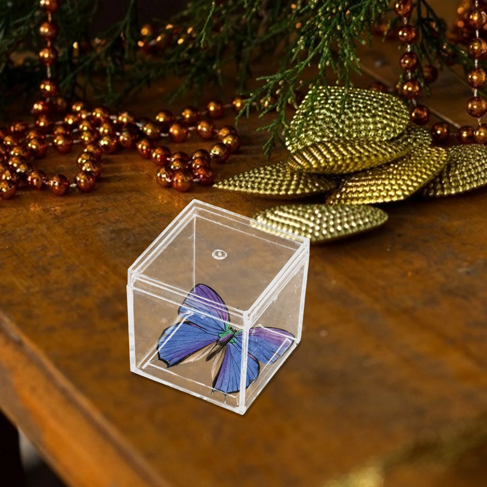 

12Pcs Specimen Display Storage Box Plastic Display Case for Mineral Stones Stackable Clear Organizer Box Desktop Collection