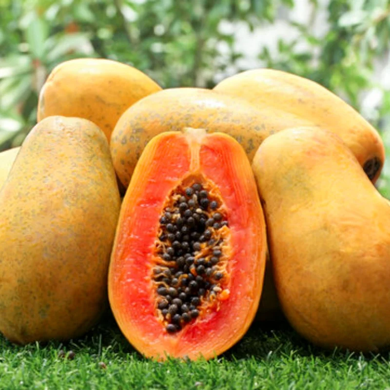 

Machined Aluminum Portal Axle for MJX 1/12 H12Y H12Y+ H12P Chassis Upgrade Parts