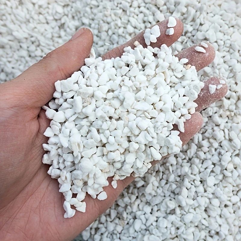 1 paquet de perlite horticole de 3-6 mm pour la culture des semis, la terre pour fleurs, l'expansion des plantes, la rétention d'eau, un mélange de terre respirant, 2,5 L d'améliorant de sol
