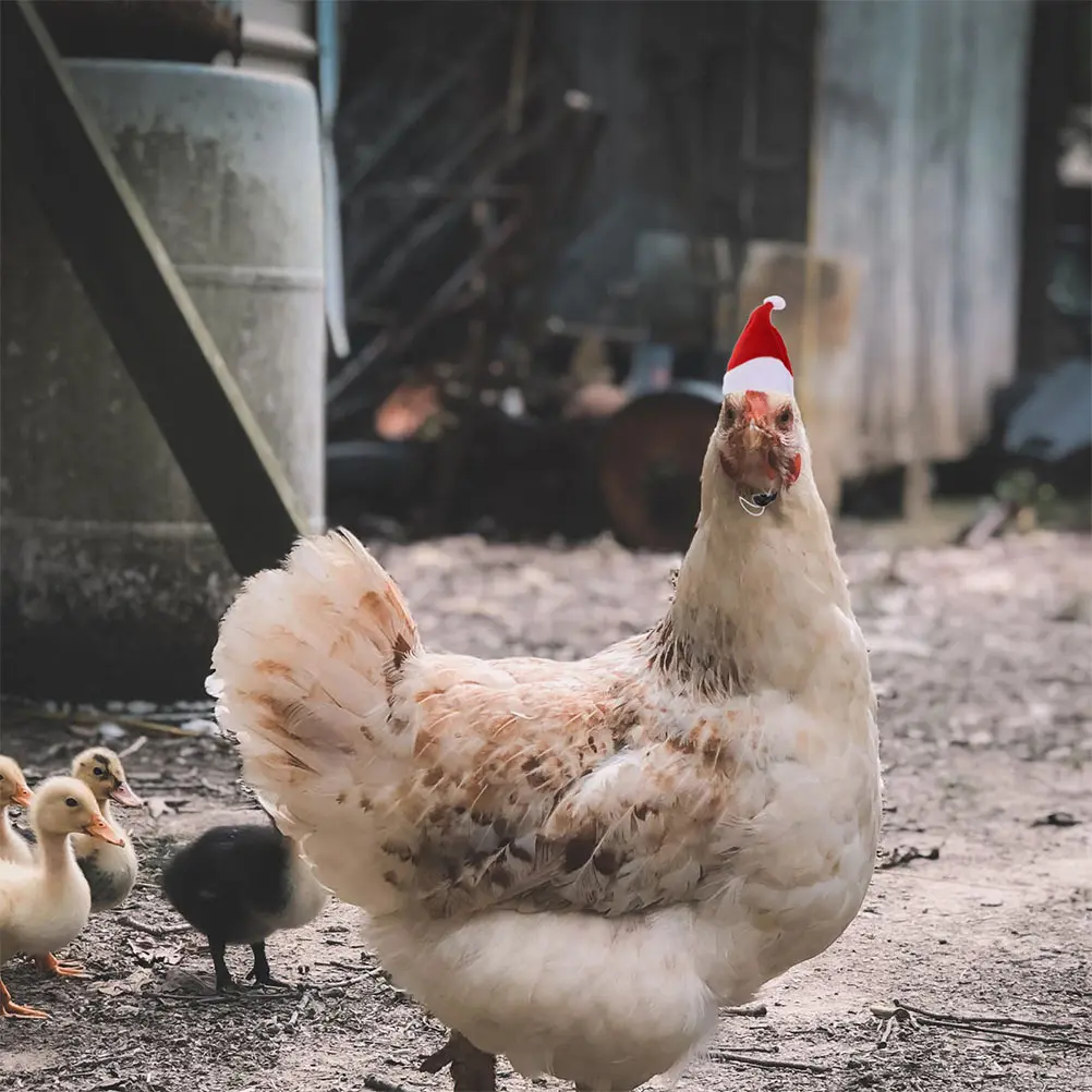 

2 Sets Christmas Pet Chicken Hat Scarf Hats Costume for Pets Winter Funny