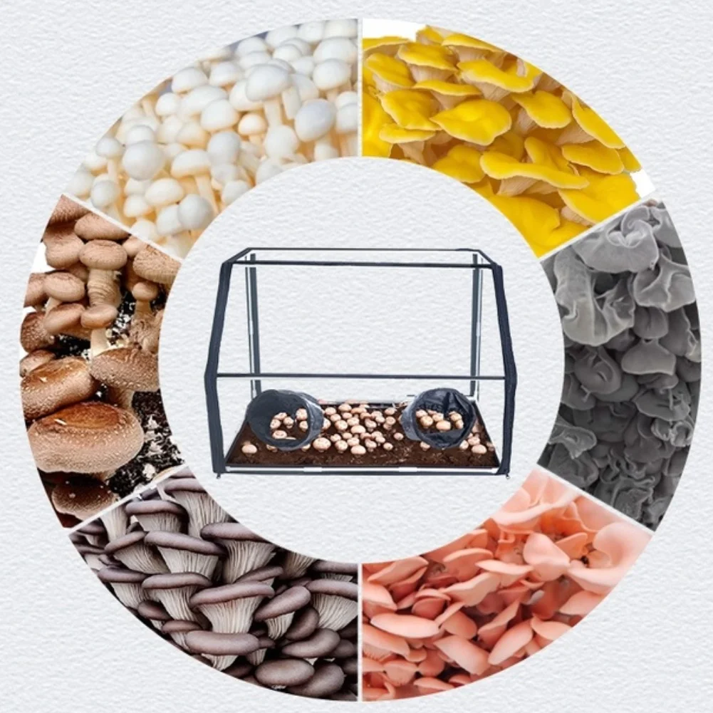 

Партиционная палатка-контейнер для выращивания грибов (Air Box), грибоводческий бокс, грибоводческий шкаф, станции для размножения грибов, пакеты для выращивания грибов