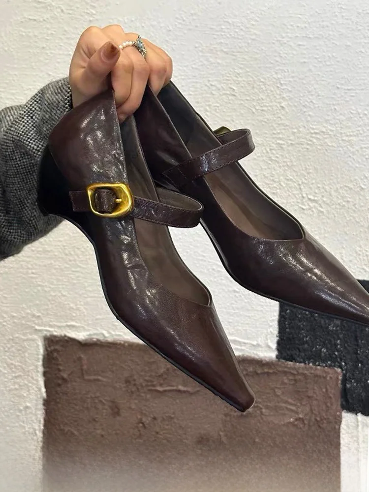 genuine-leather-pointed-toe-mary-jane-shoes-for-women-with-thick-heel-and-single-strap-retro-style-all-match-fashionable-flats