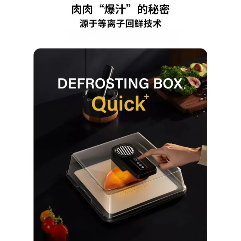 Charging Defrosting Box Ultra-fast Fresh Recovery Machine Beef Frozen Food Meat Seafood Defrosting Plate