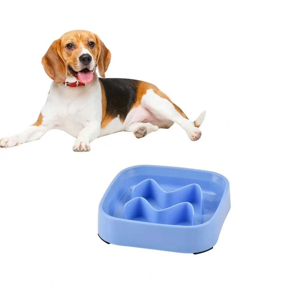 

Pet Slow Feeder Bowl Anti-choking Slow Feeding Pet Bowl with Spill-proof Design for Medium Small Dogs Food Dish for Cats Puppies