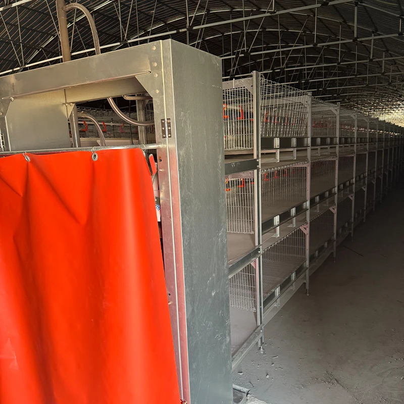 High Quality Steel Egg-Laying Hen Layer Cage Economical Chicken Coop with Automatic Features for Farm Use Direct Export
