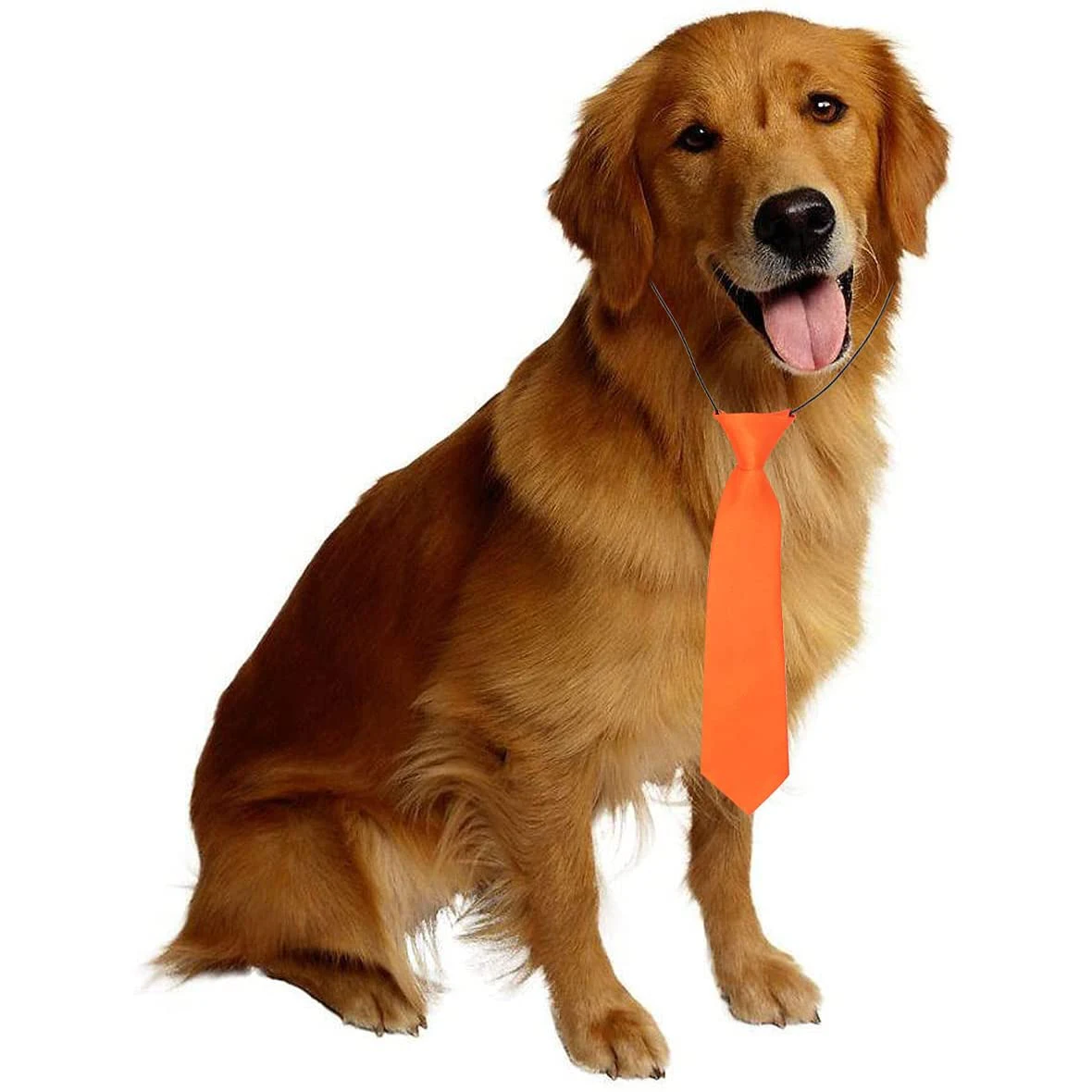 Dog Bow Tie Set 5