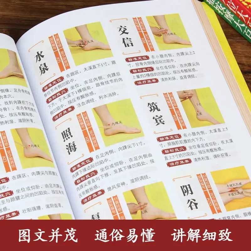 Traditional Chinese Medicine Health Basic Theory Diagram Meridians Symptomatic Massage Tutorial Whole Body Acupoint Books