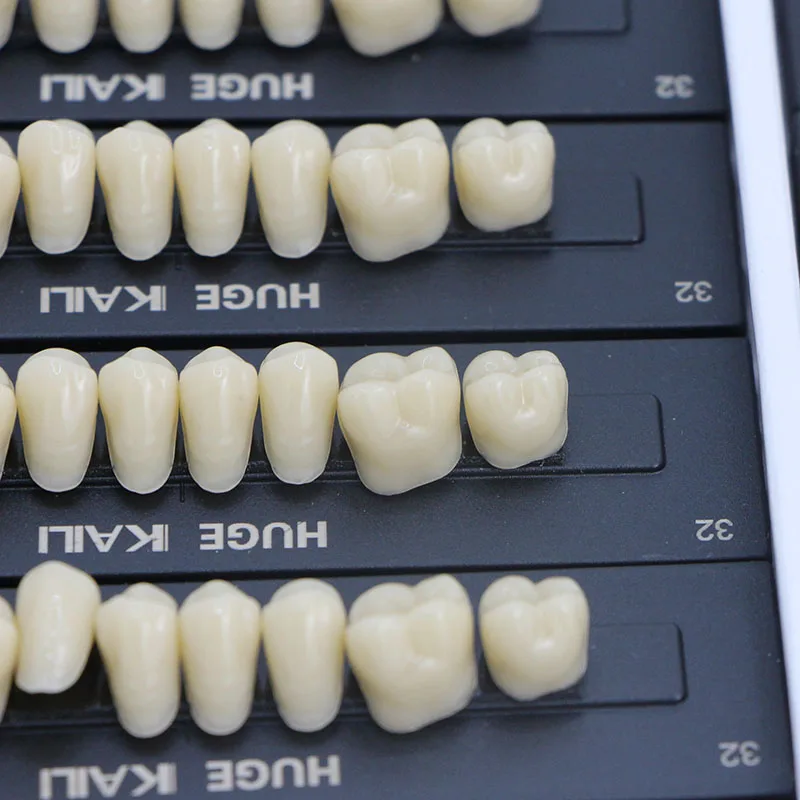 

Dental Acrylic Resin Teeth 2 Layers Denture Full Mouth Stability Dentistry Material Boxed for Professional Use