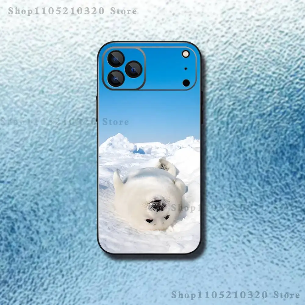 حافظة هاتف لطيفة على شكل حيوان لهاتف آيفون 17,16,15,14,13,12,11,Pro,Max,Plus,E,SE4,Air,Mini Black Soft Funda #3