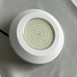 LED Submersible Swimming Pool Lights 12W Multiple Color Resin Filling Underwater Spotlight DC12V Warm White Blue Cold White