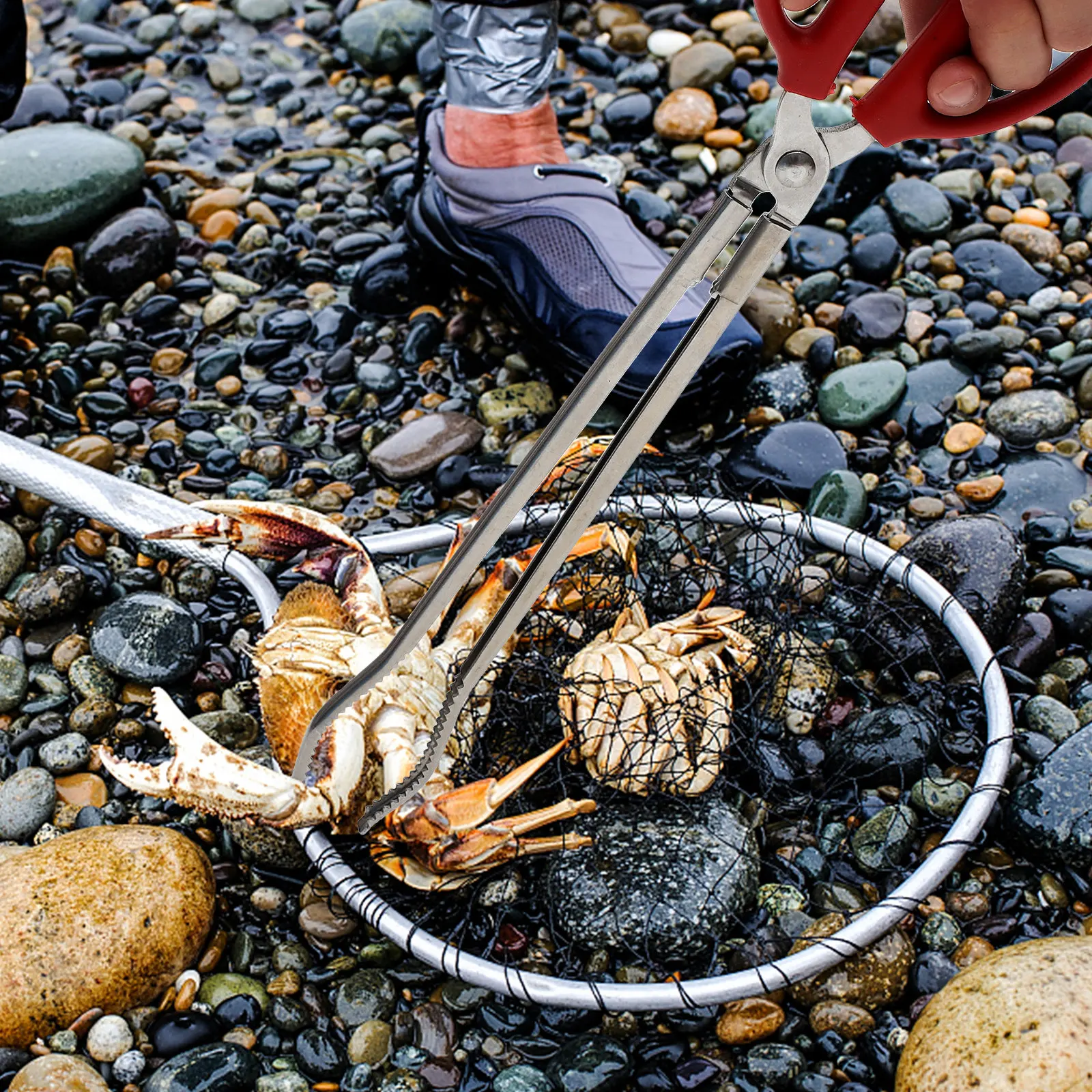 

2Pcs Crab Clamp Eel Mud Fish Tongs Trash Grabber Tool Large Teeth Design Extended Reach for Highway Roadside Camping Bbq Hiking