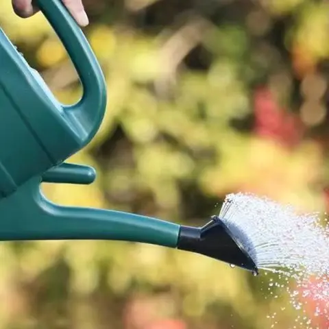 

5L Plastic Watering Can Garden Essential Watering Can Indoor Outdoor Light Weight Cans Watering Can Family Gardening Garden