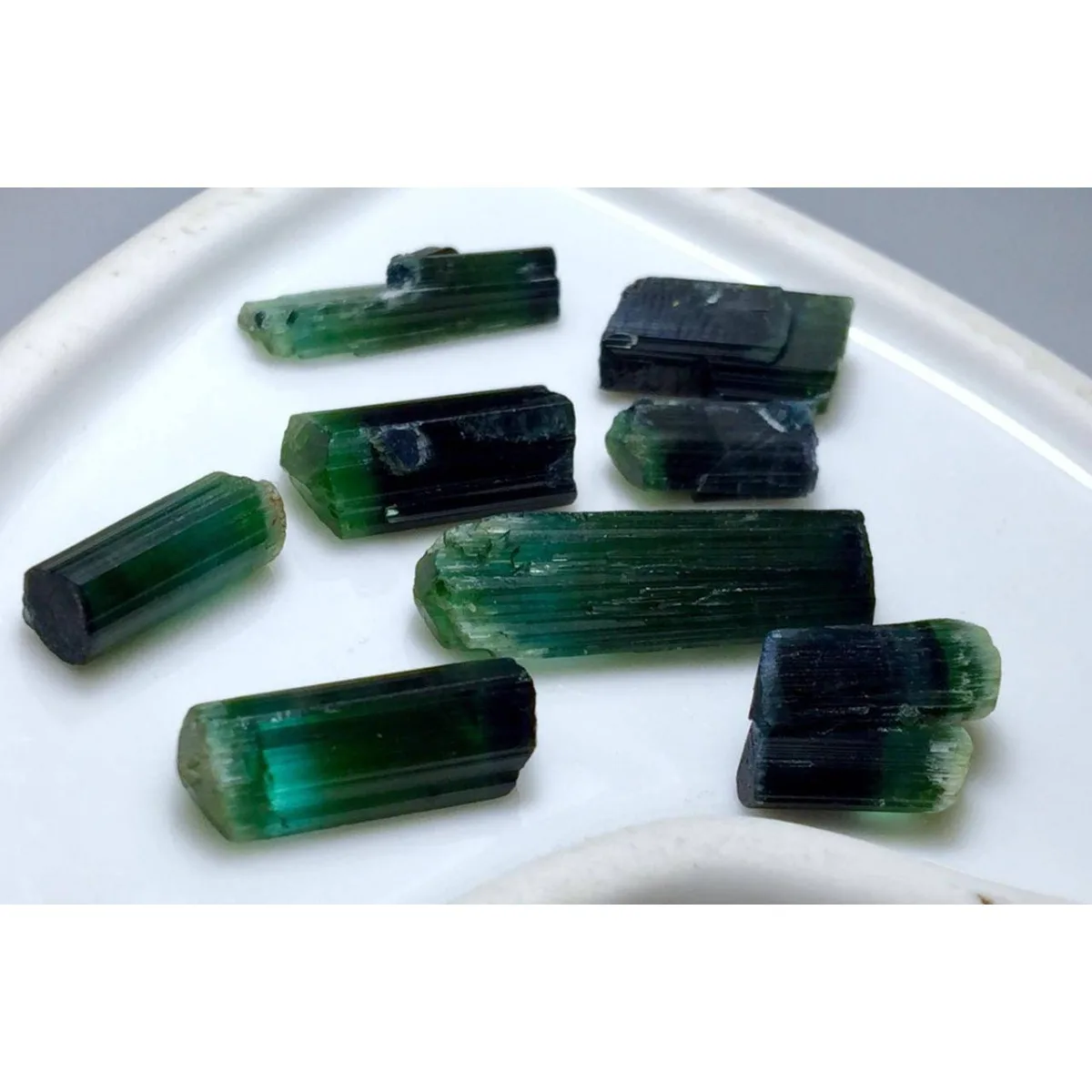 Brazilian Elbaite Crystals, 10g 5-15mm Color Mix, Display Box for Home Decor & Rock Collection Display