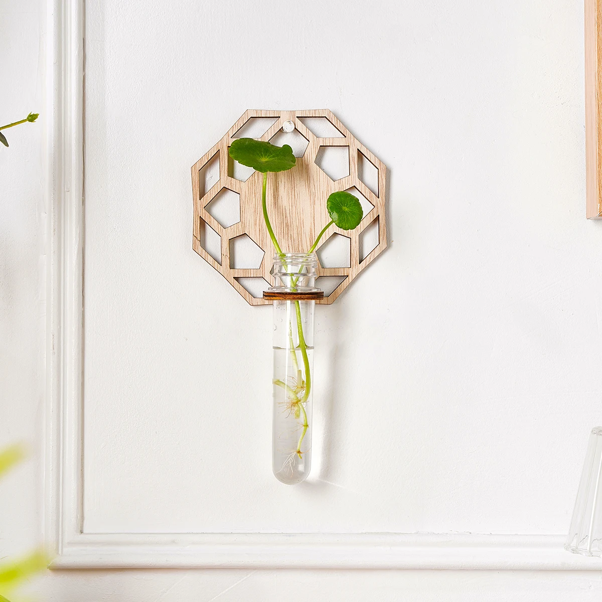 1PC Indoor Plant Wall Mounted, Plastic Test Tube with Wooden Rack for Unique Gardening Plant Lovers