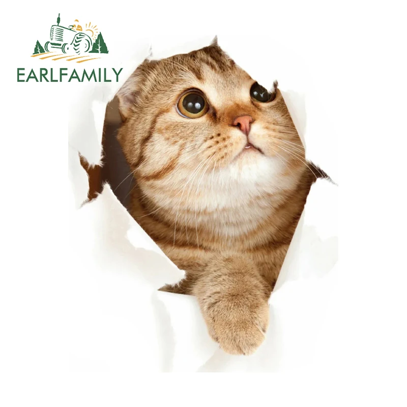 EARLFAMILY Cat Peeking Car Stickers Unique Vivid Orange Cat Vinyl Car Wrap Luggage Decals Car Wiper Refrigerator Accessories
