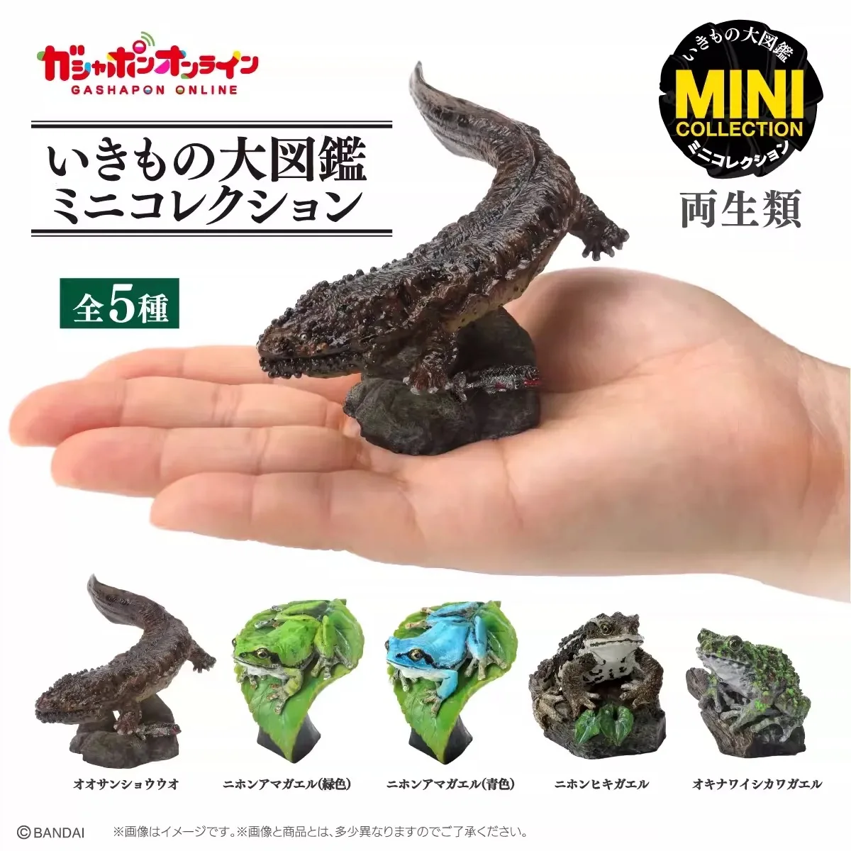 

Miniature Amphibian Gashapon - Volume 1: Tree Frog, Giant Salamander, Toad - Based on Biological Atlas