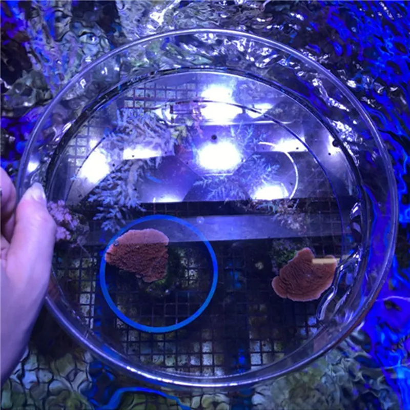 Aquarium Marine Reef Tank Tools, SPS, LPS, Viewing Mirror, Water Magnifying Glass, Water Surface Observation, Photography