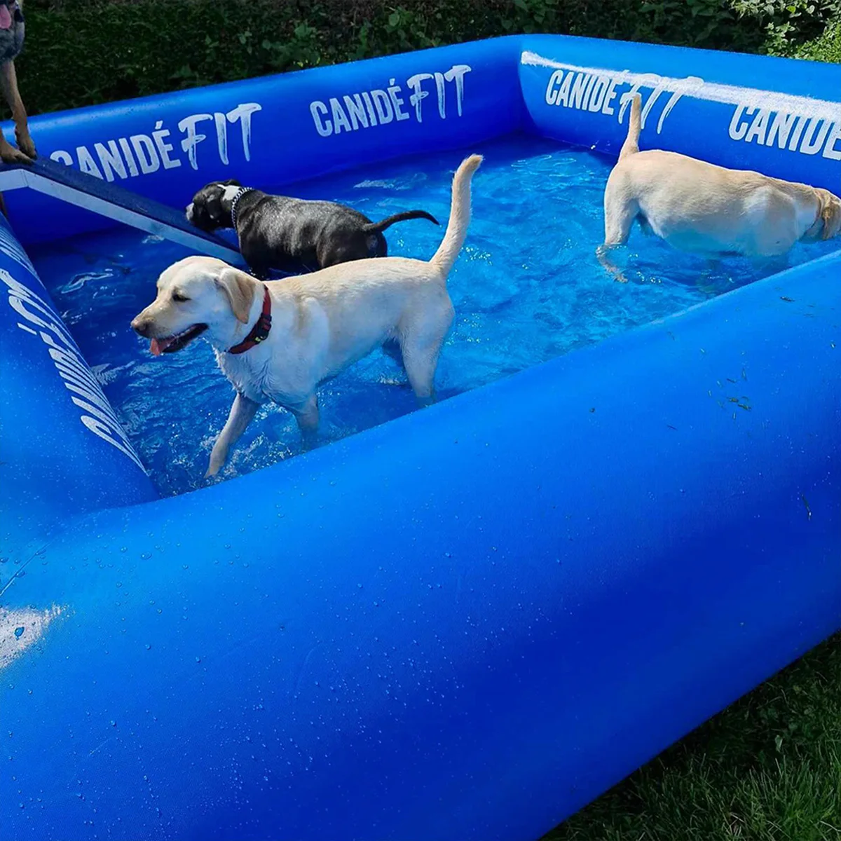 

Pet Airtight Inflatable Swimming Pool, Outdoor Yard Dog Bathing Large Blow Up Tank Inflatable Bath Tub For Dogs with Air Pump