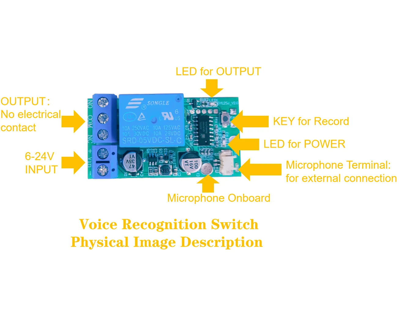 

6-24V Voice Recognition Switch for Record Control support record any language command Output Passive Contact
