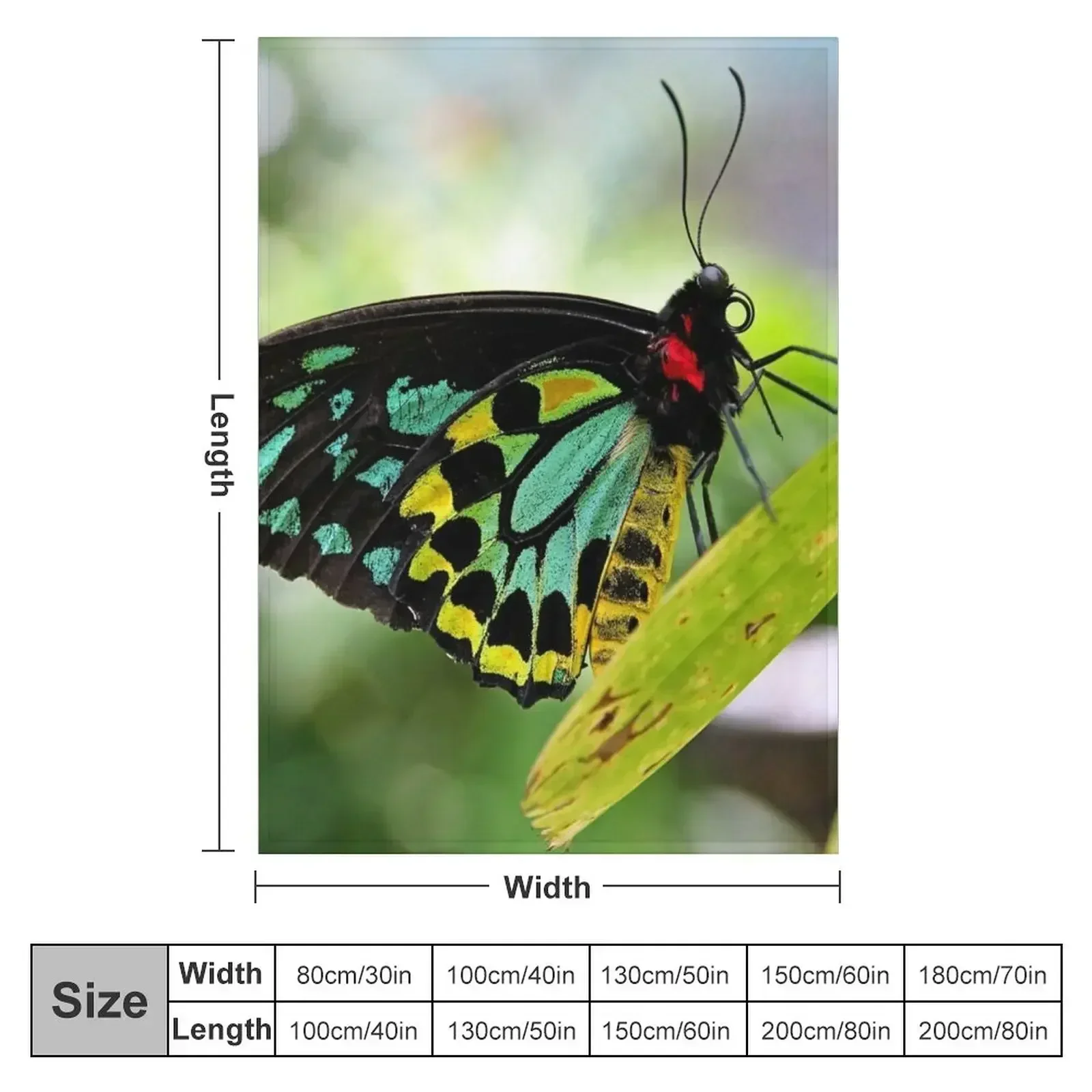 New Cairns Birdwing Butterfly Throw Blanket Bed Fashionable Beach Sleeping Bag Blankets