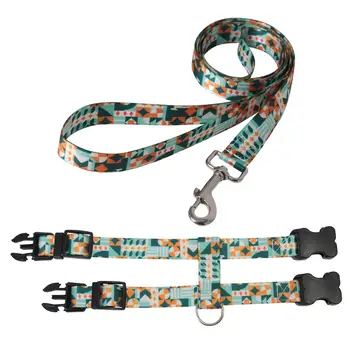 8 best sales Gürtel für Katze - №2