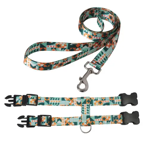 8 best sales bälte för katt - №2