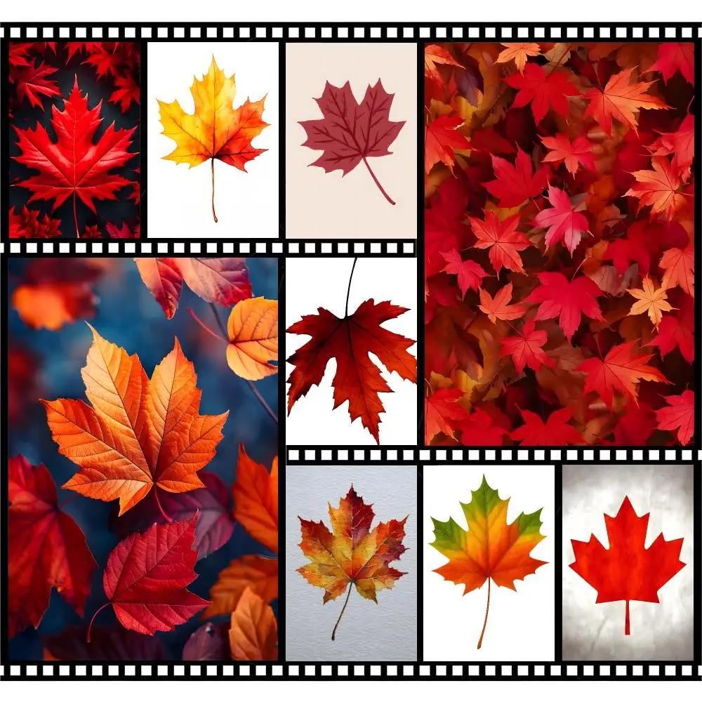 Graphic Nature Maple Leaf Poster Premium HD Decor Wall Art for Interior Room Makeover Home Accents Gift