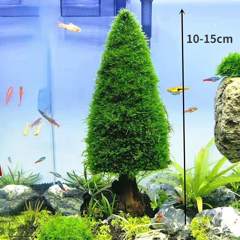 Aquarium Decoration Aquatic Plants Moss Tree Pine Tree Christmas Tree Fish Tank Landscaping Ornament Water Grass (No Moss)