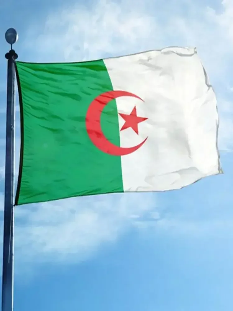 90x150cm bandiera Algeria bandiera nazionale Banner Office Activity parade