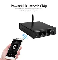 BRZHIFI HiFi TPA3116 Bluetooth 5.0 APTX ES9018K2M DAC Stereo Class D 100W*2 Power Amplifier With Headphone Amp For Sound Theater