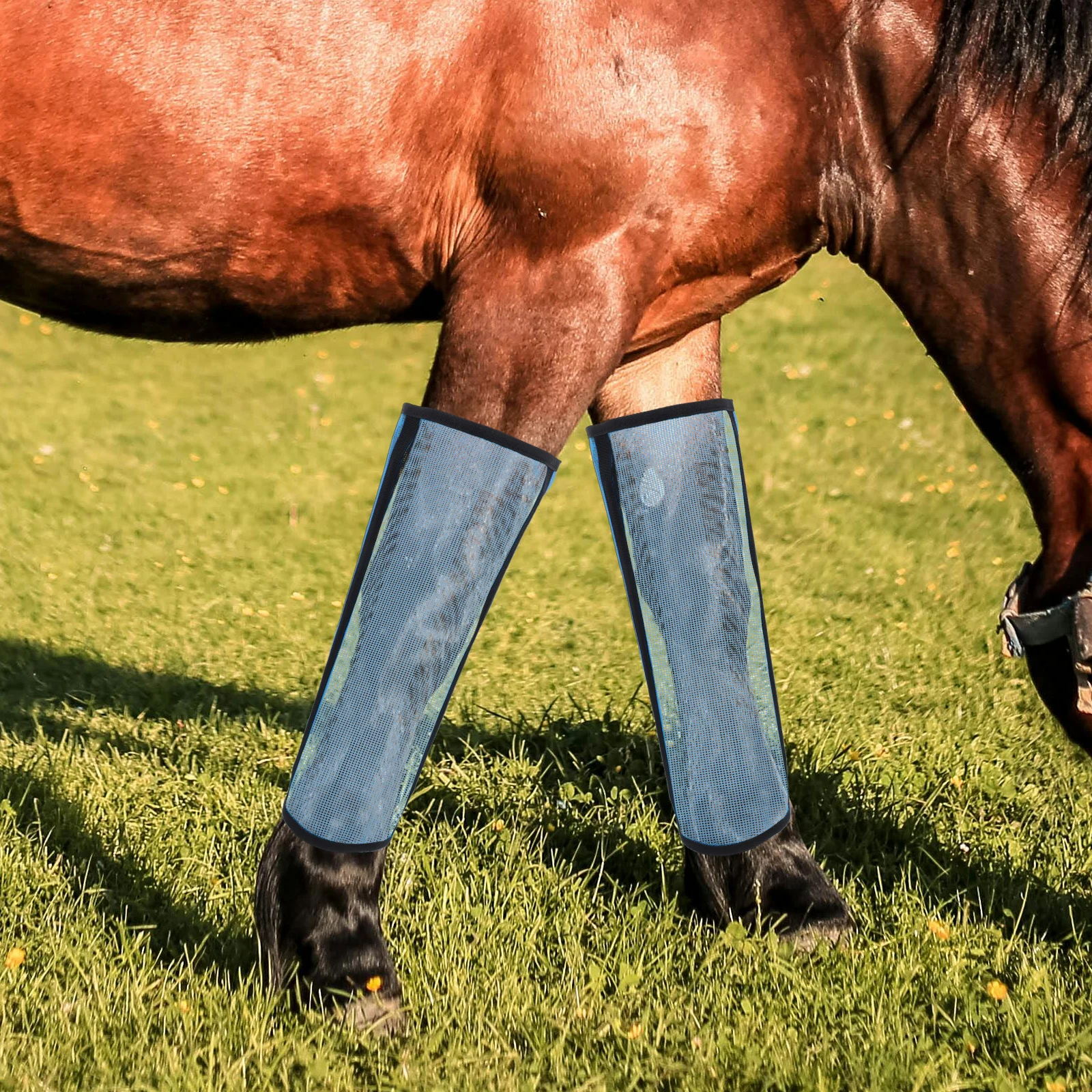 

4pcs Horse Leg Mosquito Repellent Covers Fly Socks Equine Riding Boots Mesh Design Durable Material Horse Care Accessories