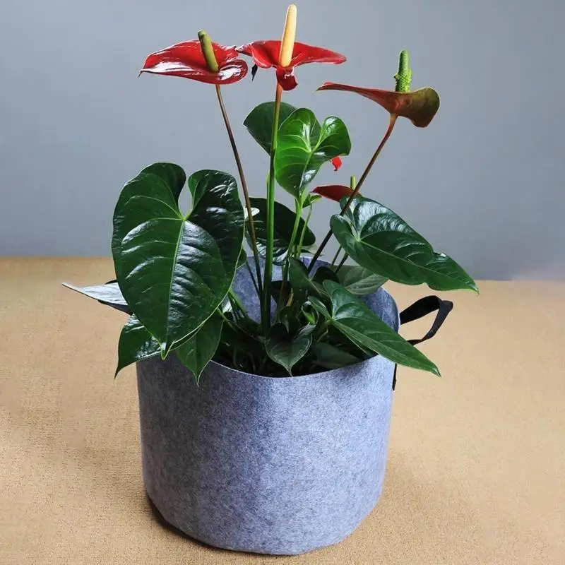 F19B Grow Bags Nonwoven Fabric Pots Breathable Fabric Planter Garden Plant Pots for Multifuntional Use in Gardens and Patios - zdjęcie 1