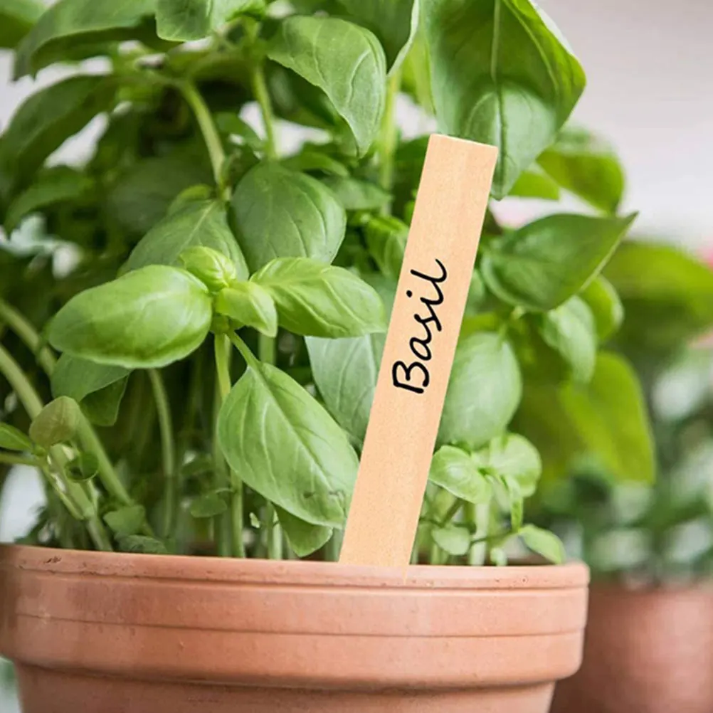 

50 Pcs Wooden Plant Sign Garden Herb Labels Plants Tag Stake Eucalyptus Markers Outdoor Vegetable