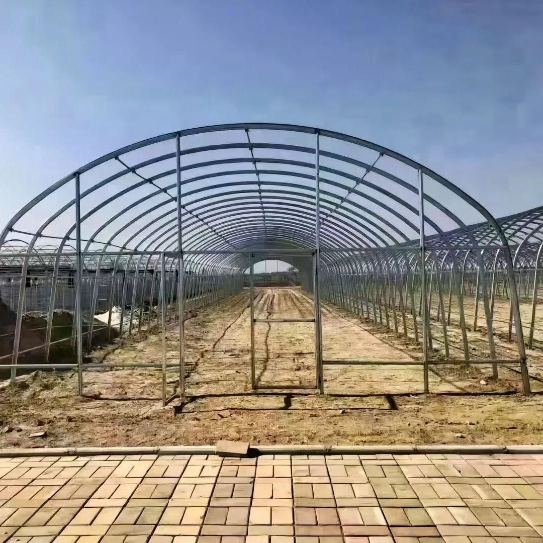 

Greenhouse pipe plug-in agricultural planting greenhouse skeleton vegetable greenhouse manufacturer simple single vegetable