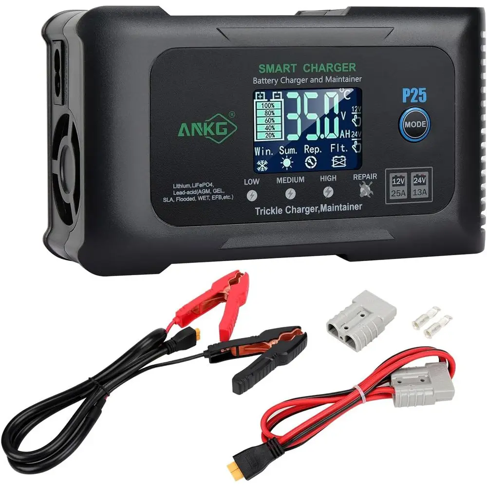 25Amp 12V&24V Smart…