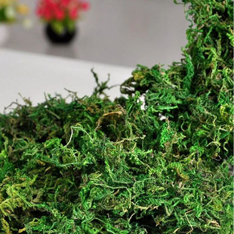 100g Artificial Moss Simulation Plants Immortal Moss Micro Landscape Bonsai Decoration Indoor Garden Decoration Green Moss