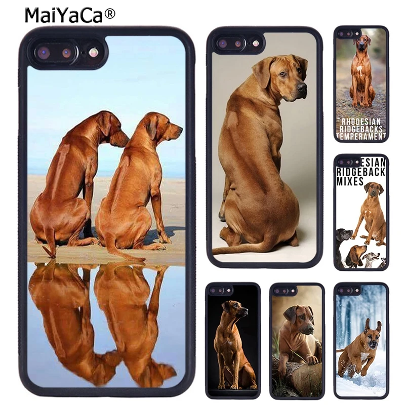 MaiYaCa Rhodesian Ridgeback Dog Phone Case For iPhone 16 15 14  XR XS 11 12 13 Pro MAX Plus coque Cover Shell