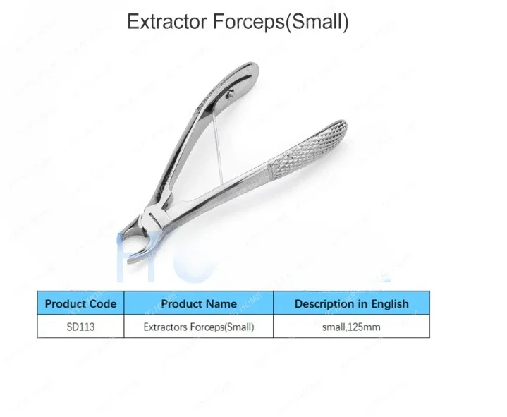 Precise Dental Extractor Forceps Small  for Pet Care: Expertly Crafted by PH Orthcom Leading Manufacturer of  Veterinary