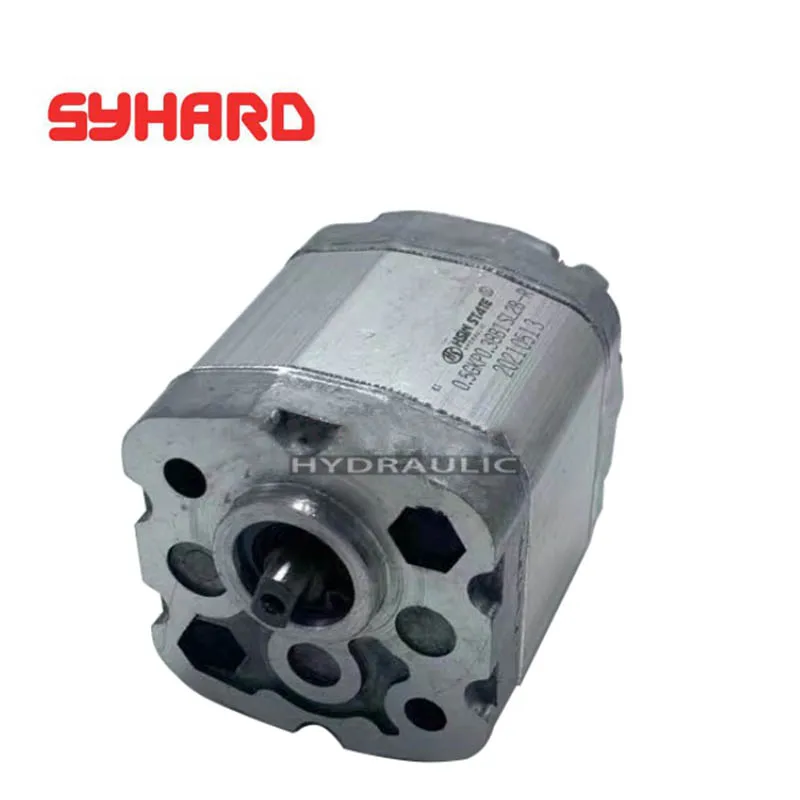Micro Gear Pump 0.5GKP0.38B1SL2B-R  0.5GKP0.19B1SL2B-R 0.5GKP0.25B1SL2B-R 0.5GKP0.26B1SL2B-R 0.5GKP0.50B1SL2B-R